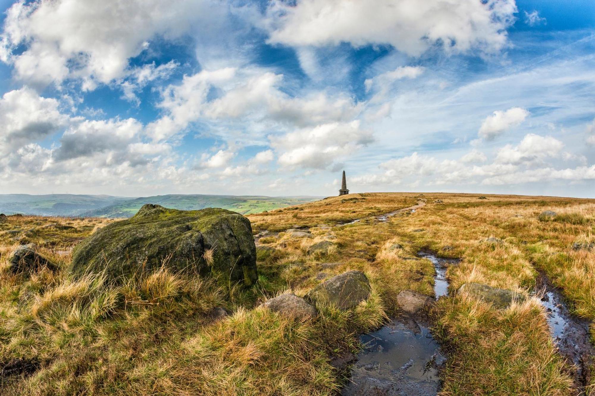 Todmorden - The Toothless Mog