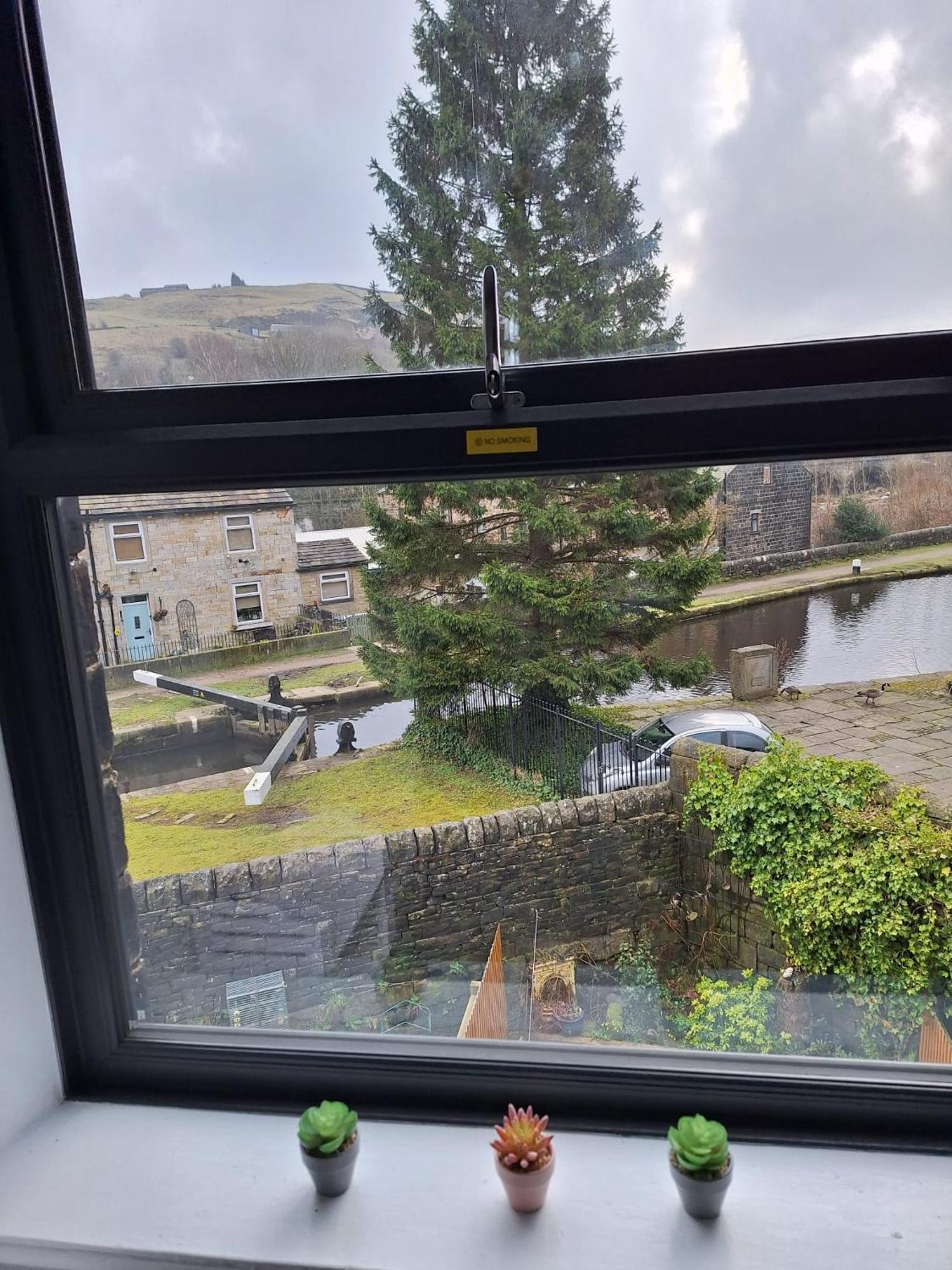 Bed & Breakfast Todmorden - The Toothless Mog